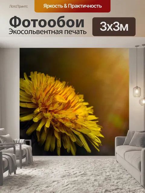 Фотообои Одуванчик