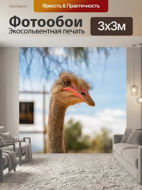 Фотообои Страус