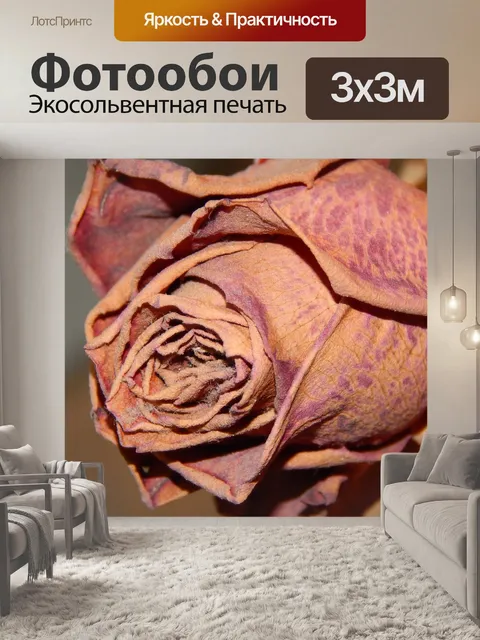 Фотообои Сухой