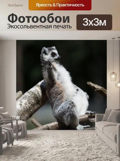 Фотообои Кошачий лемур
