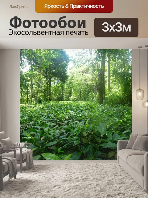 Фотообои Джунгли