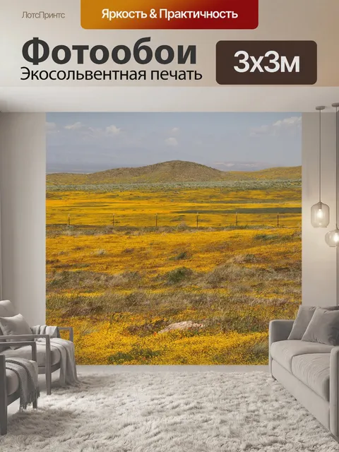Фотообои Калифорния