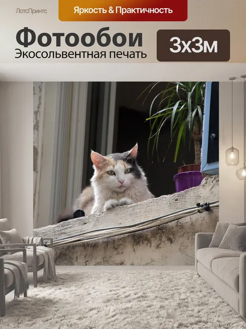Фотообои Кошка