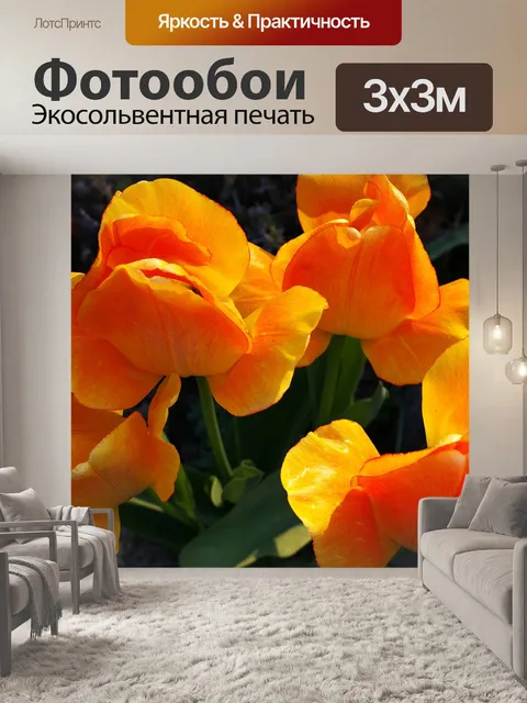 Фотообои Тюльпаны