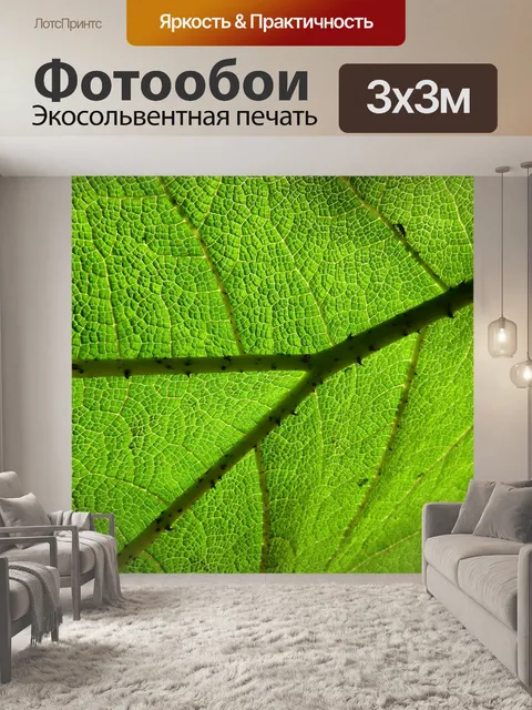 Фотообои Ботаника