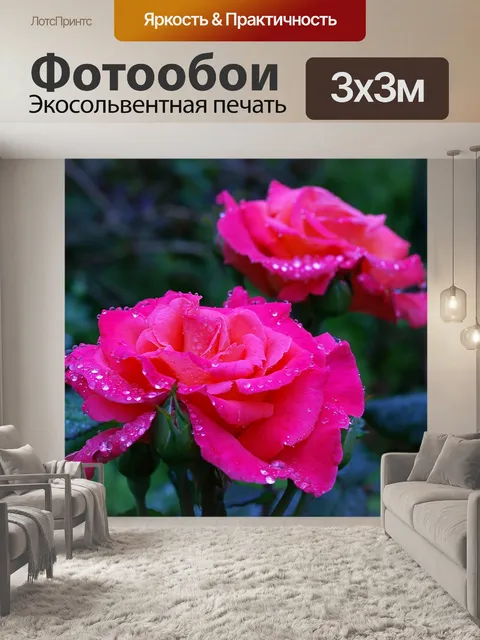 Фотообои Роза