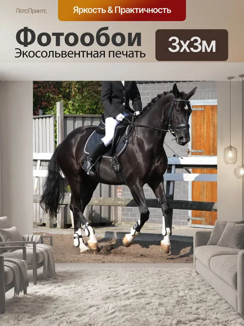 Фотообои Конный спорт