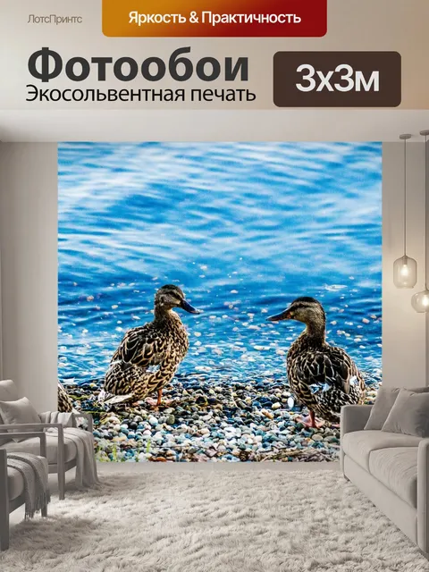 Фотообои Утки
