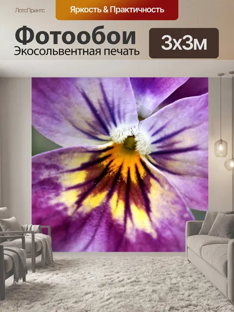 Фотообои Анютины глазки возбужденный фиолетовый ц