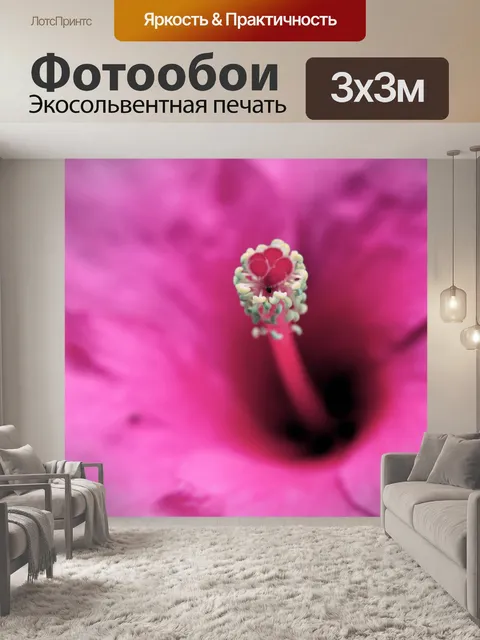 Фотообои Цветочный макрос 5