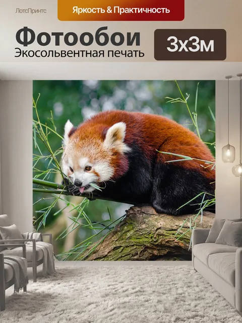 Фотообои Животное