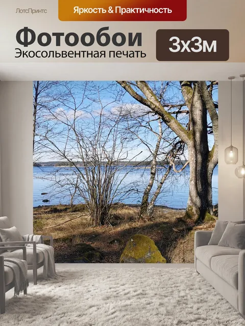 Фотообои Деревья без листьев