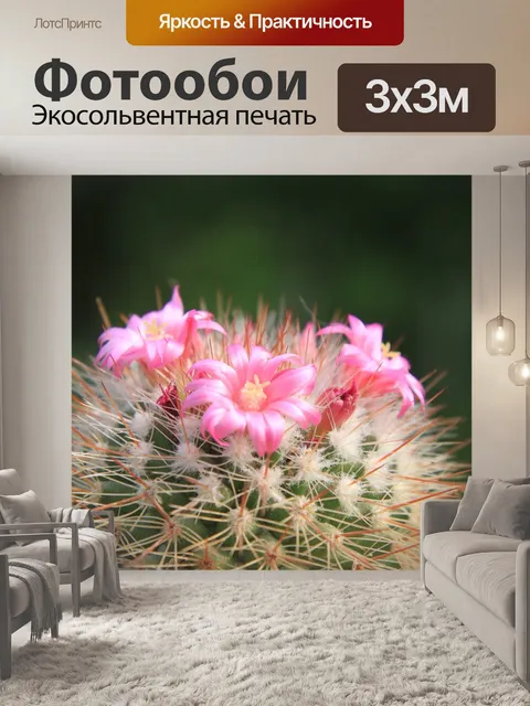 Фотообои Красивая