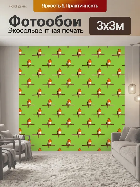 Фотообои Робин птица обои