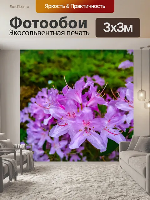 Фотообои Детали цветка