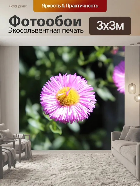 Фотообои Розовые цветы