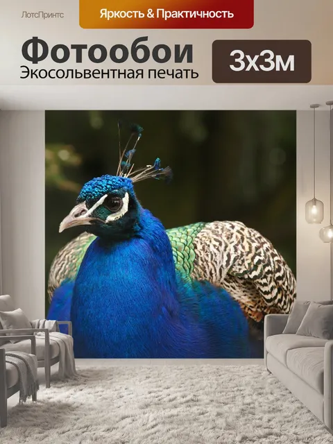 Фотообои Павлин