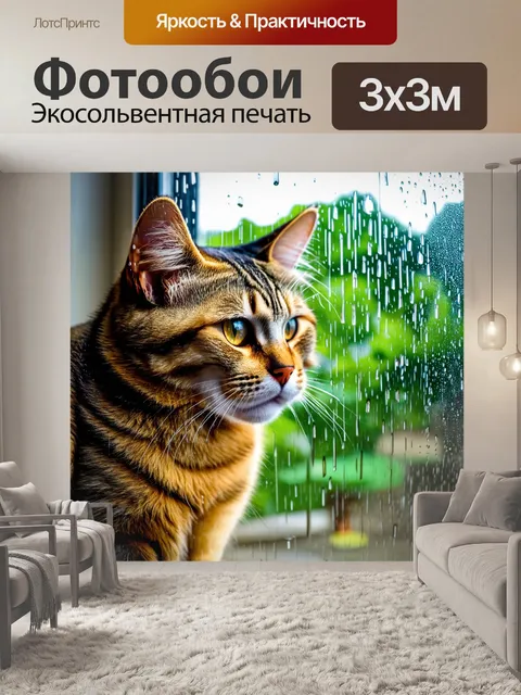 Фотообои кошка, наблюдающая за дождем из окна