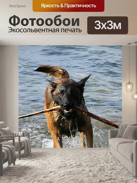 Фотообои Малинуа