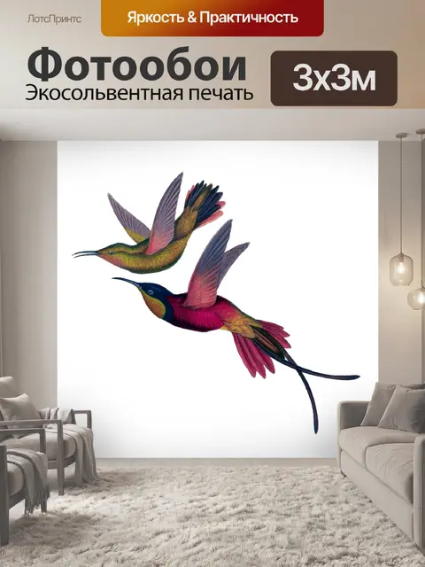 Фотообои Птицы колибри винтаж старый