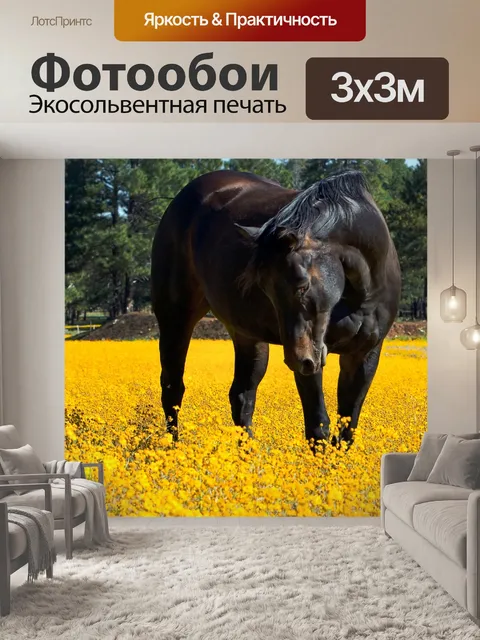 Фотообои Лошадь