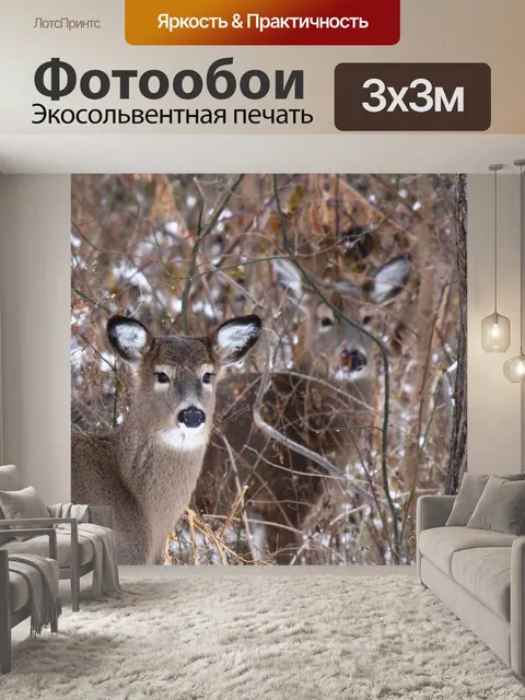 Фотообои Два оленя