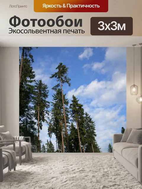 Фотообои Ели