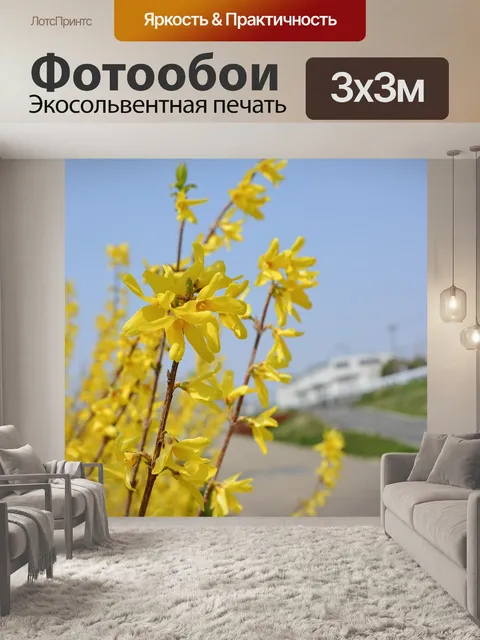 Фотообои Пейзажи
