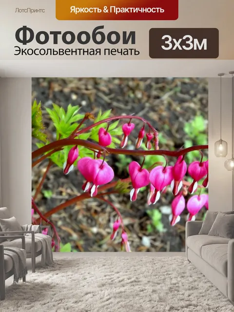 Фотообои Цветы