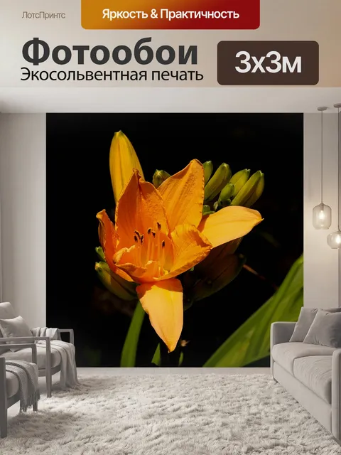 Фотообои Оранжевый лилейника