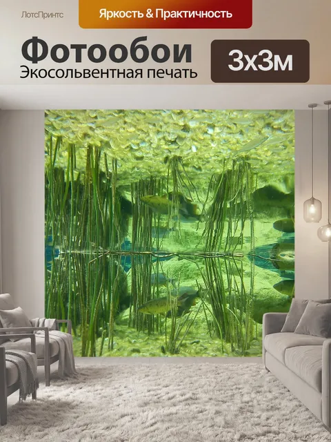 Фотообои Аквариум