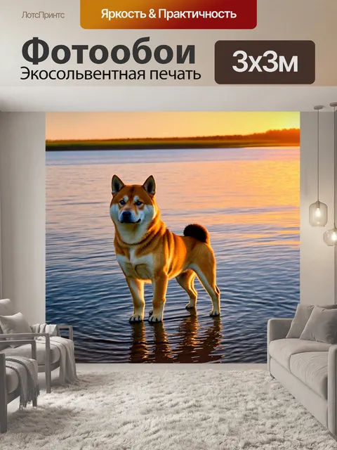 Фотообои сиба ину, стоящая на берегу озера при закате, отражаясь в воде