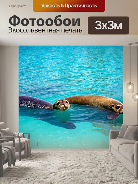 Фотообои россия сибирь, озеро байкал, кристально чистая вода, байкальские нерпы, плавающие в лучах солнца, летний день