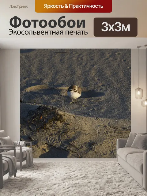 Фотообои Пловец на пляже