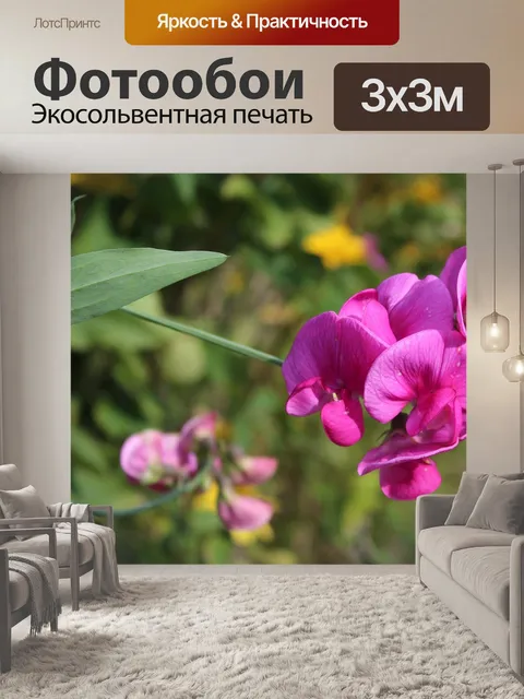 Фотообои Душистый горошек