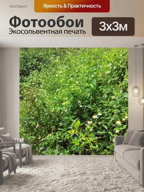 Фотообои Дэйзи поле цветка фоне