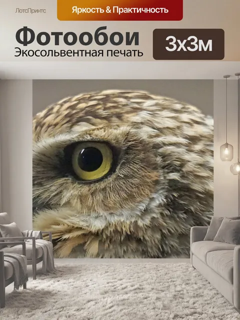 Фотообои Птица