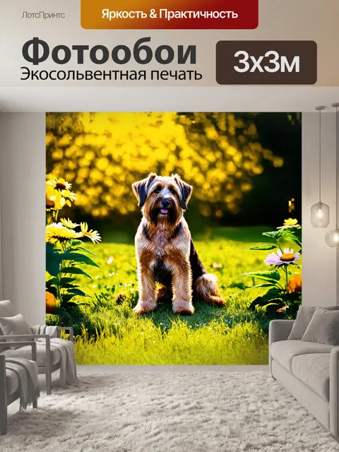 Фотообои сосредоточенная бриарская собака
