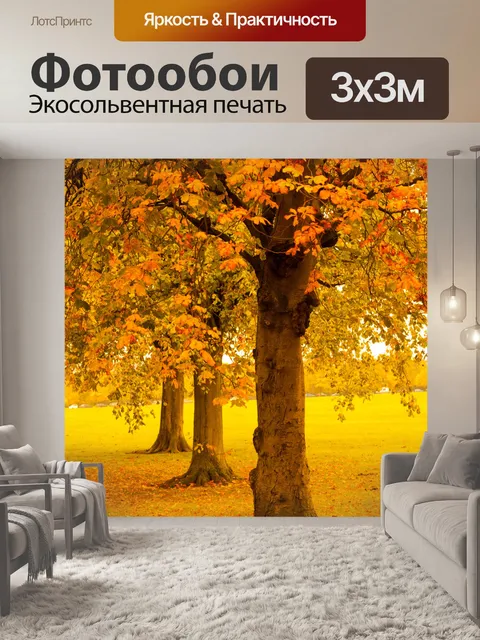 Фотообои Осенью деревья в парке