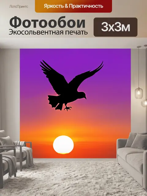 Фотообои птица, голубь, парящий над горизонтом на фоне заката, где небо окрашено в яркие пурпурные и оранжевые оттенки