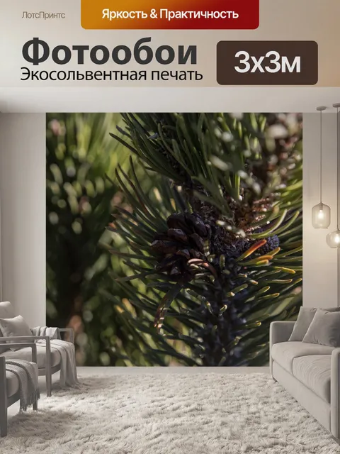 Фотообои Сосновая шишка