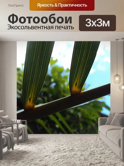 Фотообои Пальмовых листьев
