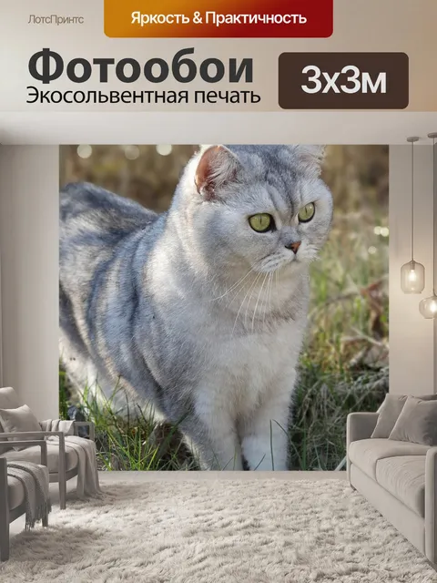 Фотообои Кот