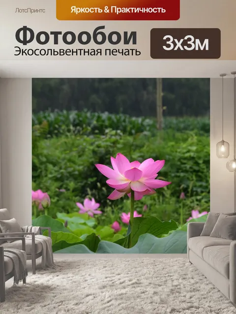Фотообои Lotus