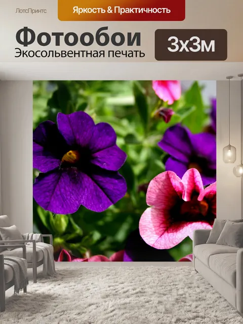 Фотообои Висячие корзины
