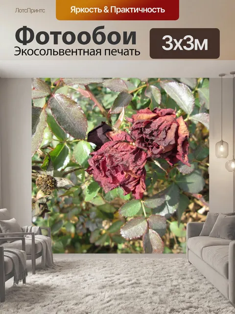 Фотообои Увядшие розы макрос 7
