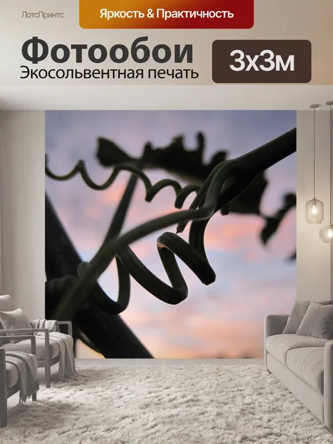 Фотообои Спирали альпиниста