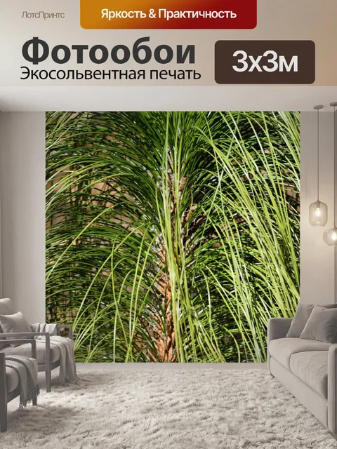 Фотообои Декоративные травы