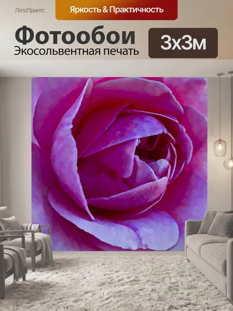 Фотообои Розовая роза