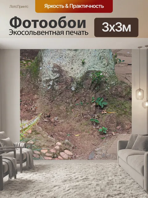 Фотообои основание дерева с легким лишайником